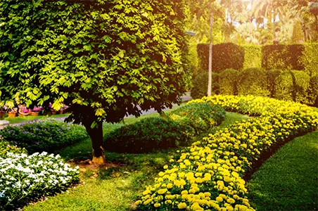 jardin-paysager
