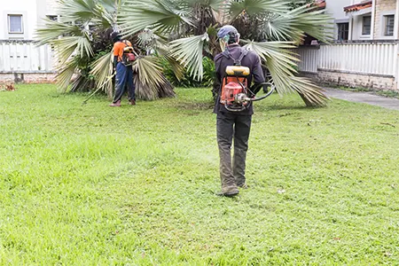 jardiniers-taille-herbe