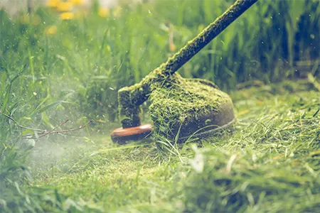 taille-herbe-rotofil